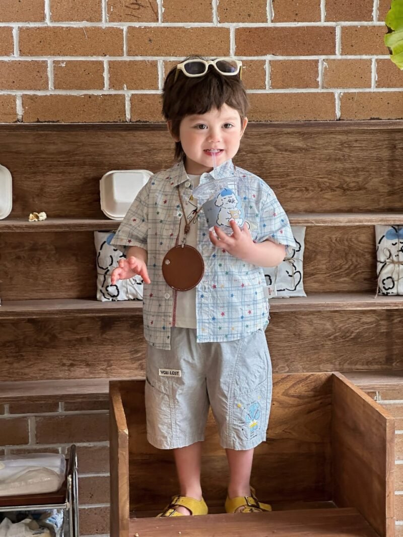 Boys Regular Fit Shorts